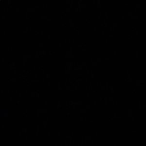 Meet your Posher, Diamon